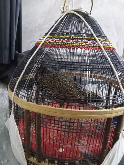 kala Patha for sale