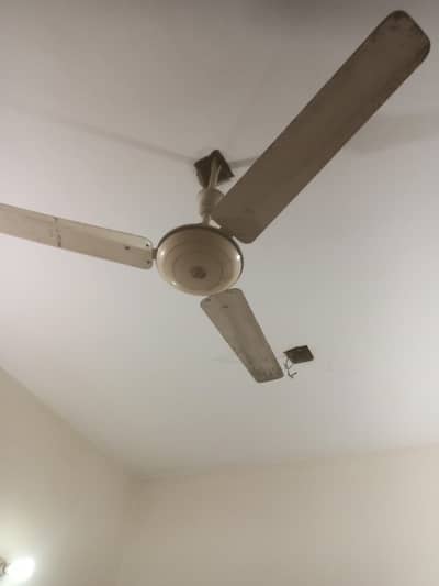 Electra Ceiling Fan in Good Condition - Minor Checkup Needed