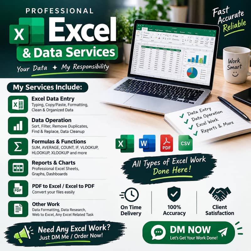 Professional Excel & Data Entry Services 0