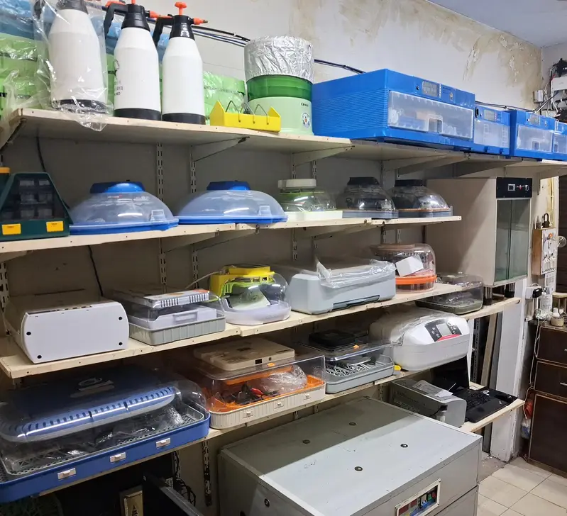 Eggs Incubator Hatching Machines, Brooders & Other Poultry Equipments — photo 2
