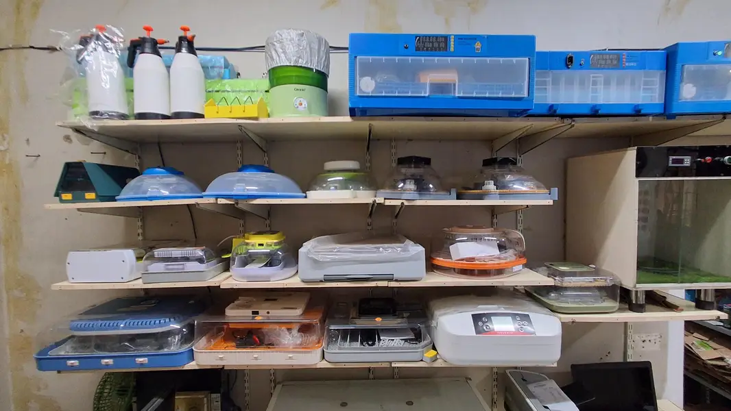 Eggs Incubator Hatching Machines, Brooders & Other Poultry Equipments — photo 3