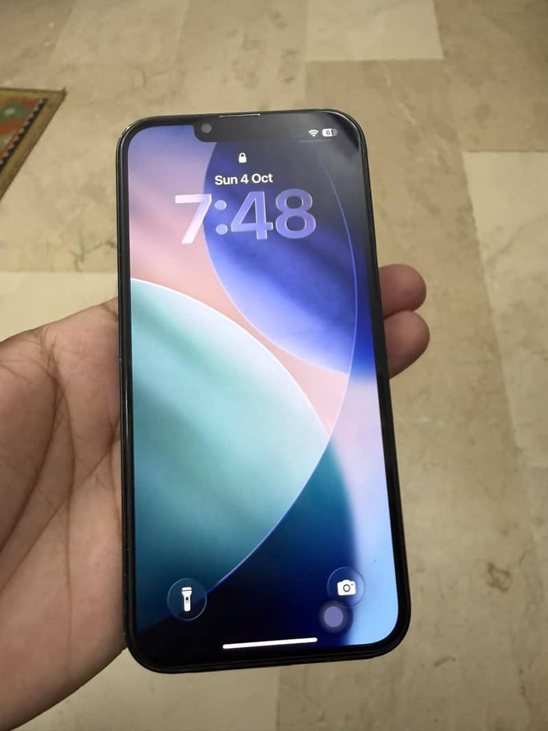 Apple iPhone 13 0