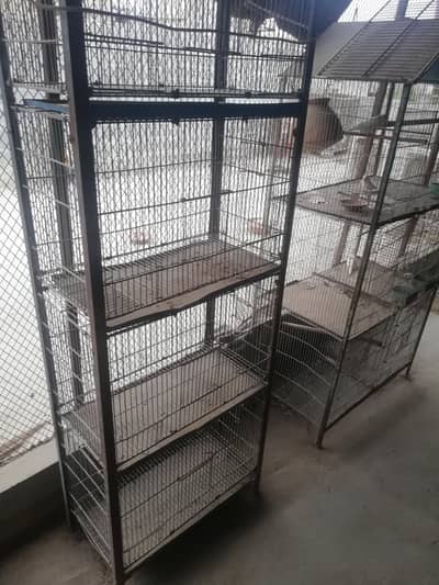 3 cages for sell and 1 budgies pair