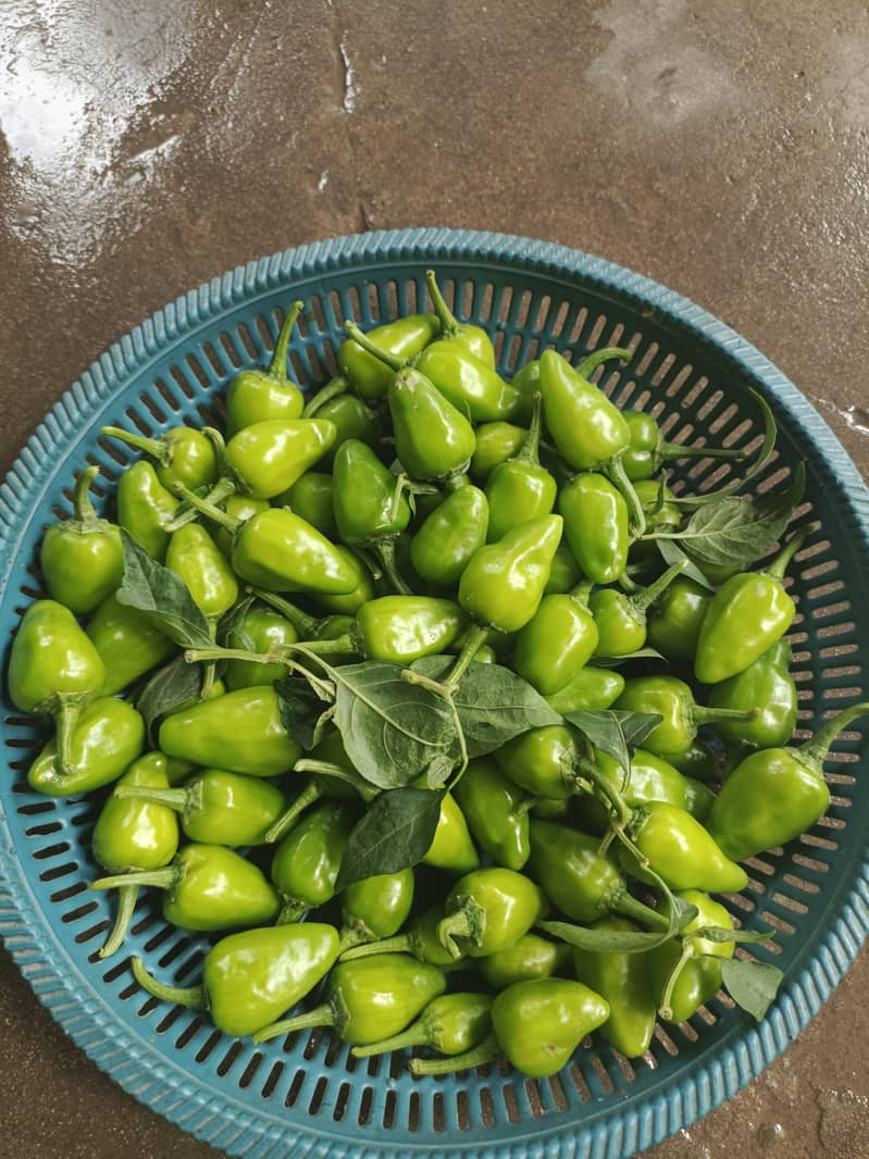 chili's 0