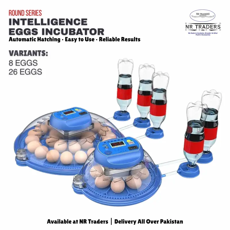 8/26 Eggs Incubator ACDC Full Automatic Blue Round Incubator