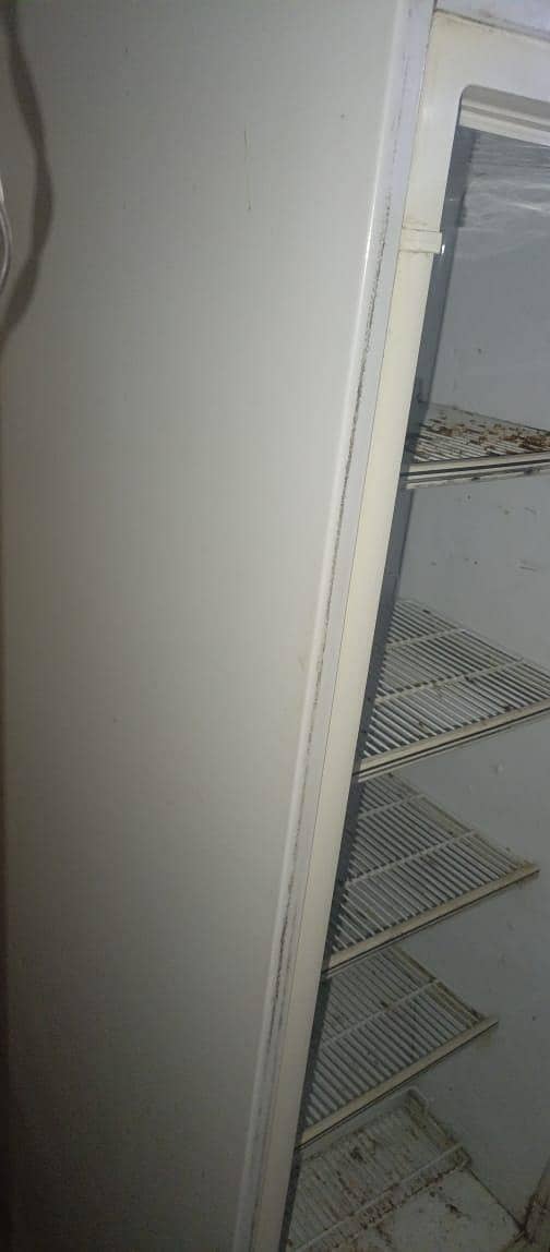 Freezer Dawlance 4