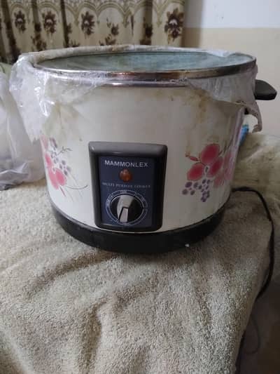 deep fryer
