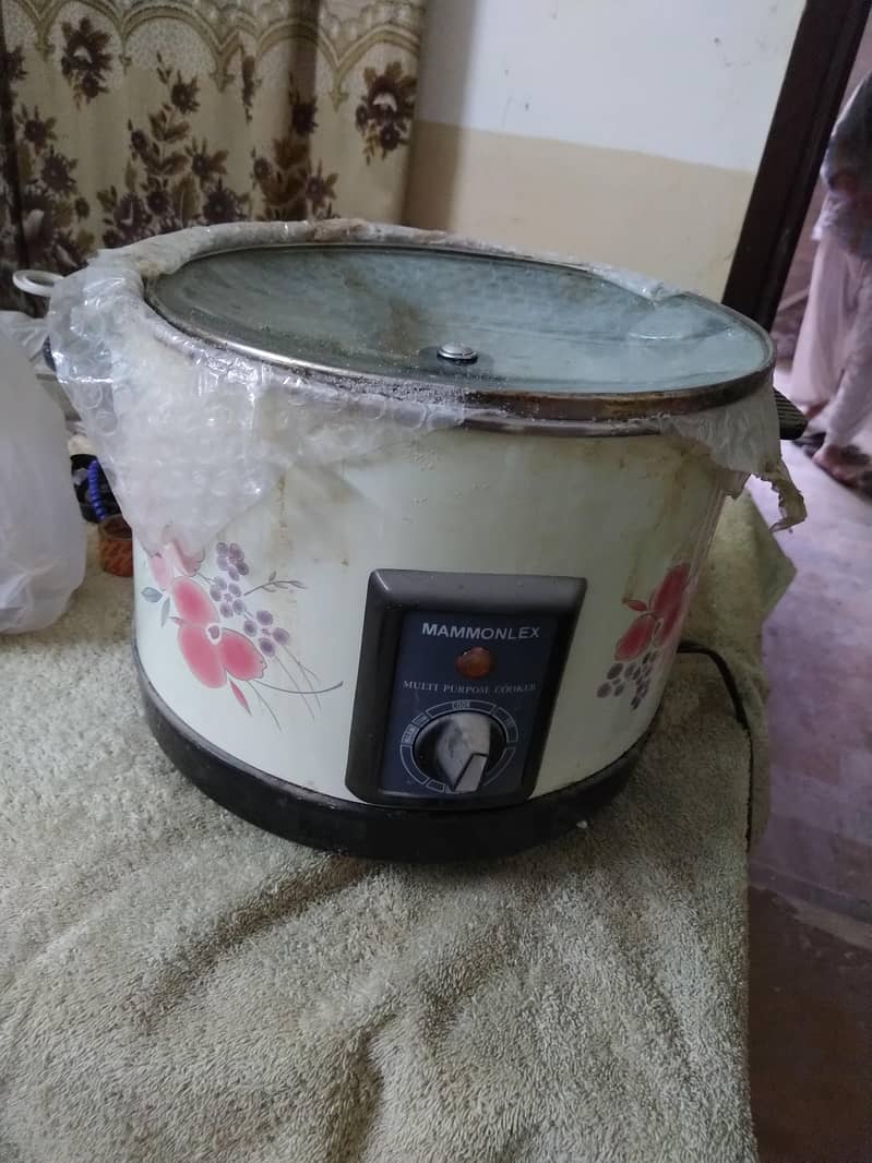 deep fryer 1