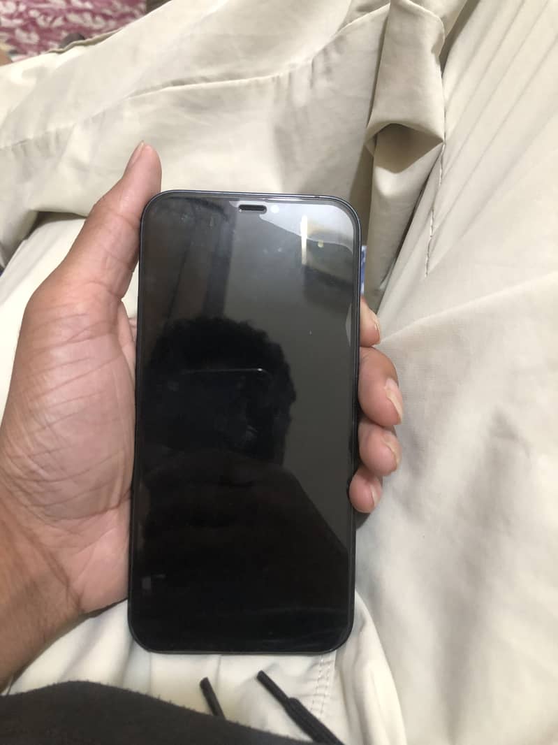 Apple iPhone 12 1