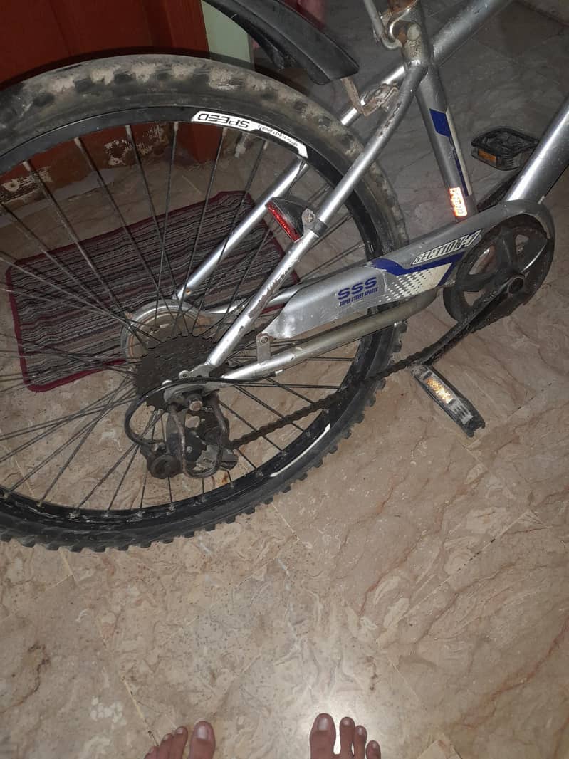 branded bicycle 2