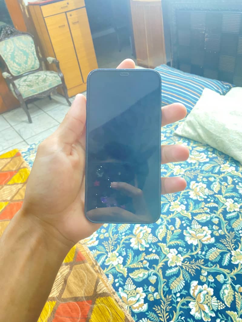 Apple iPhone 12 0