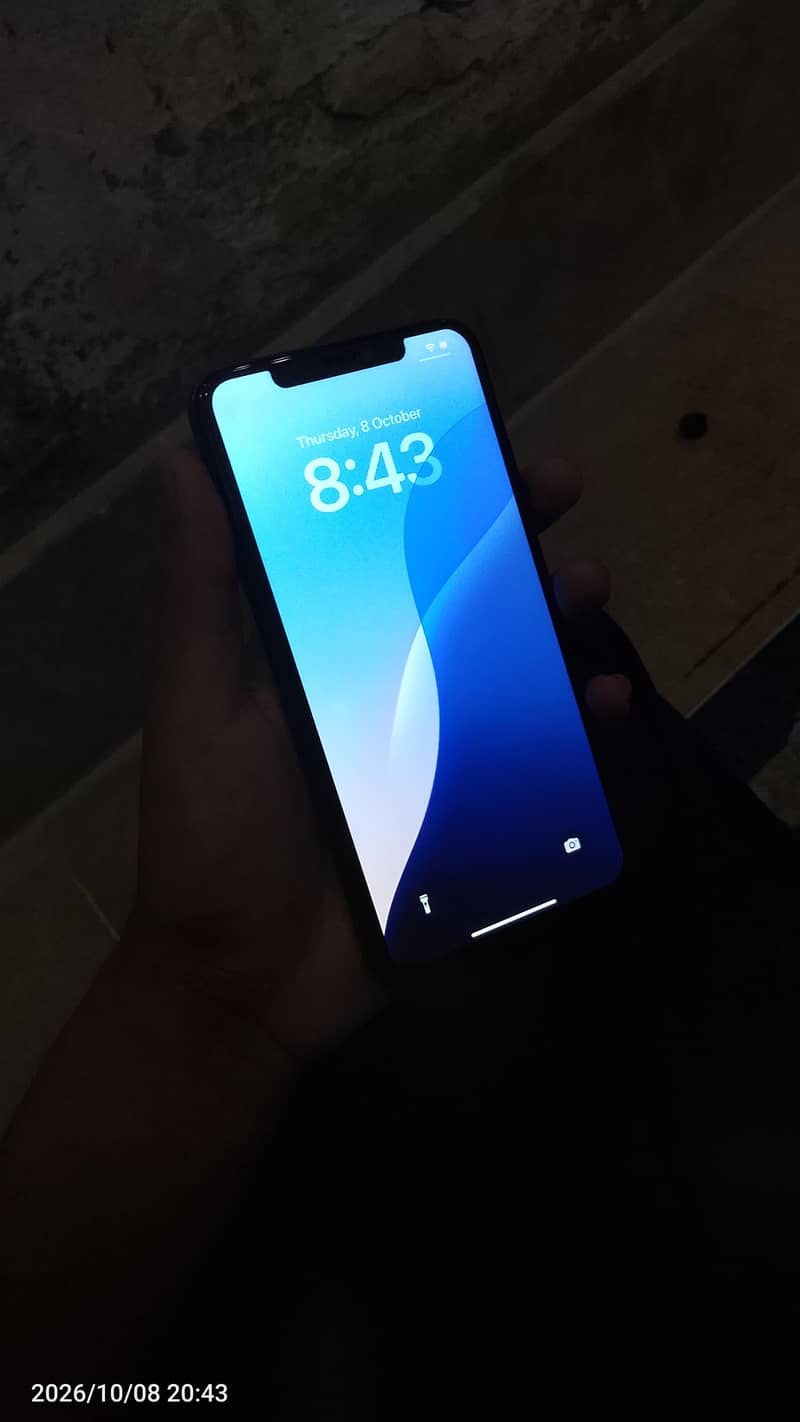 Apple iPhone XS Max 0