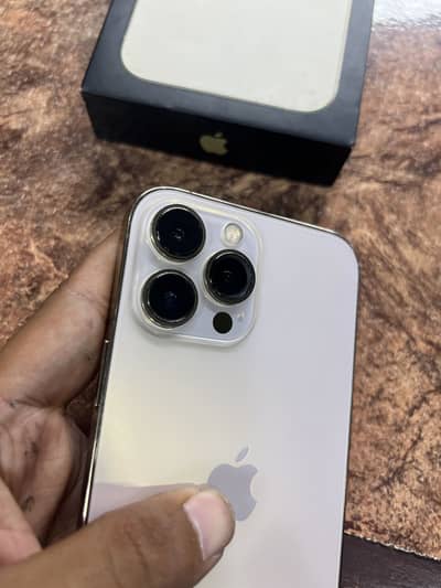 Apple iPhone 13 Pro Max