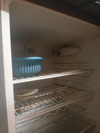 Haier fridge medium size
