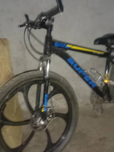 butifull cicle