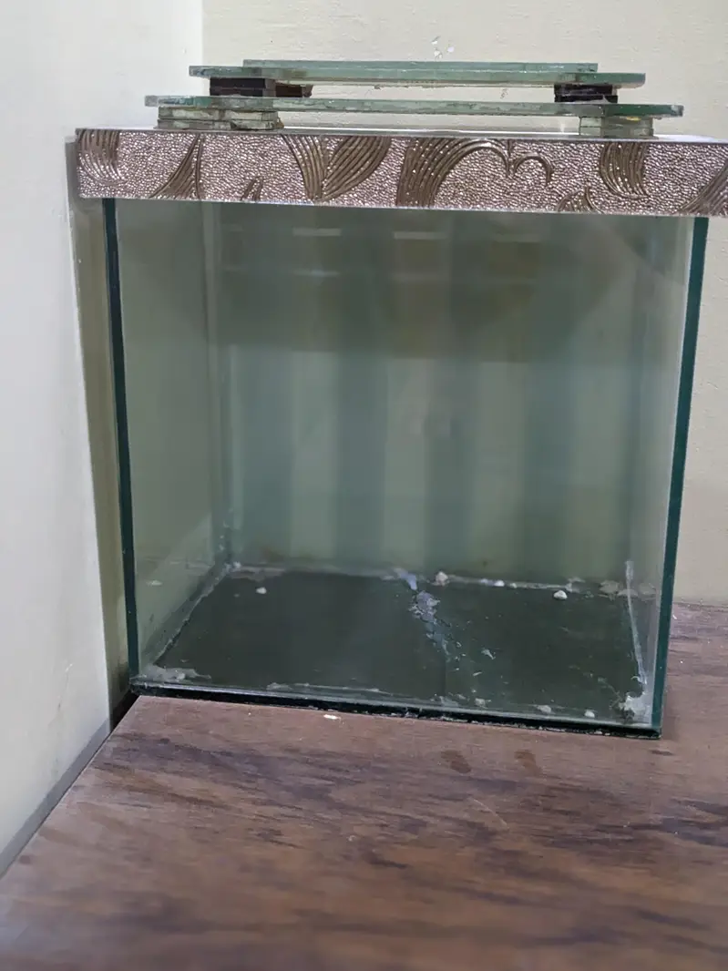 aquarium
