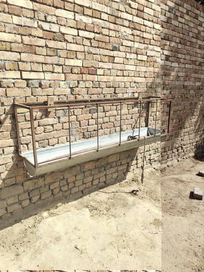 Goat feeding trough