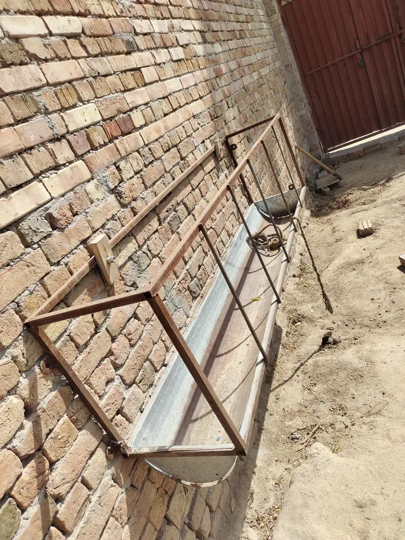 Goat feeding trough — photo 2