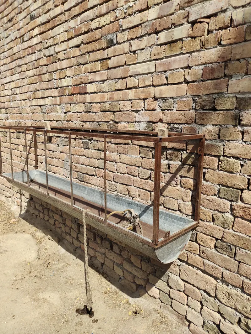 Goat feeding trough — photo 3