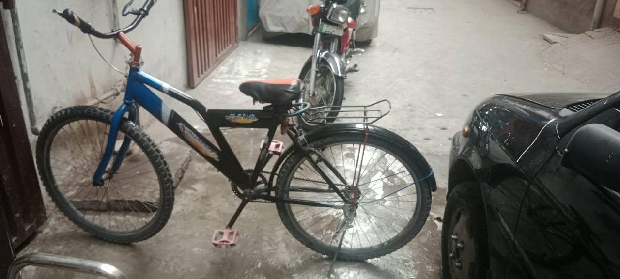 cycle 3