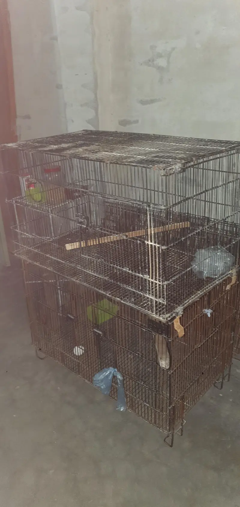 2x1.5 and 2.5x1.5 cages available for sale — photo 2