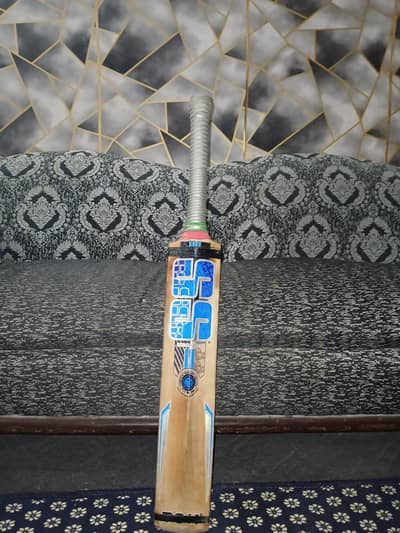 English willow bat
