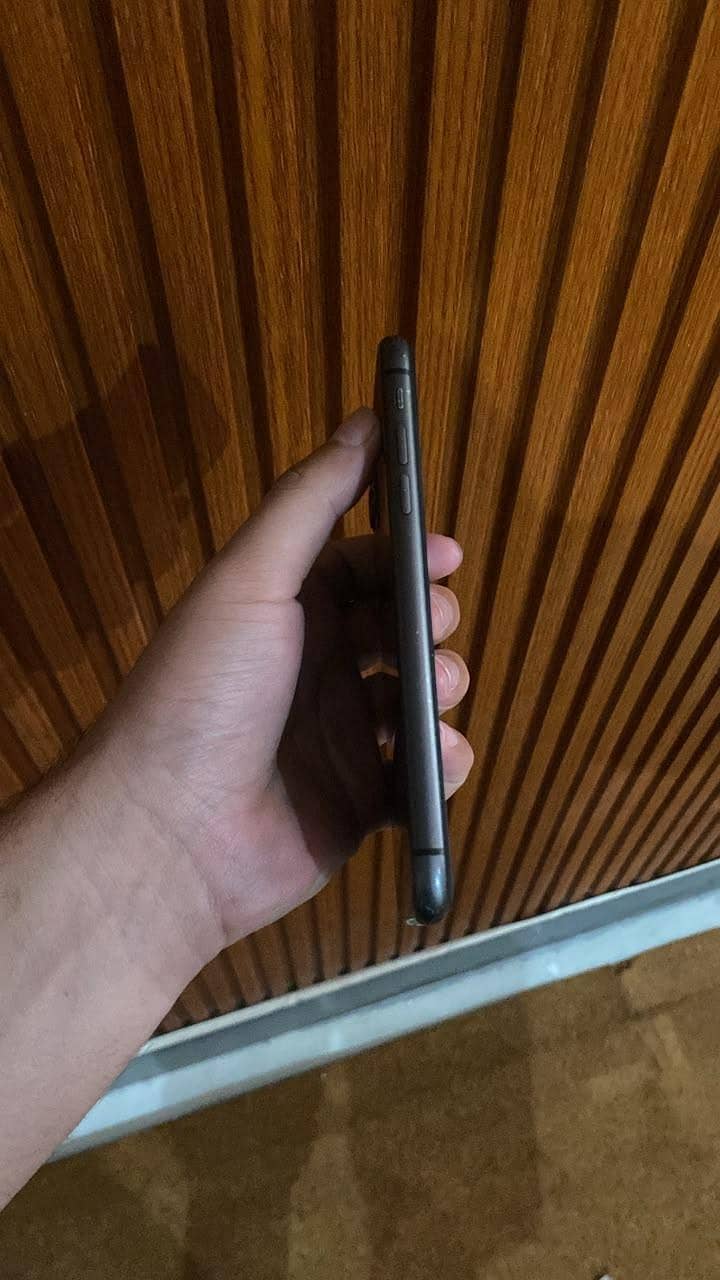 Apple iPhone 11 0