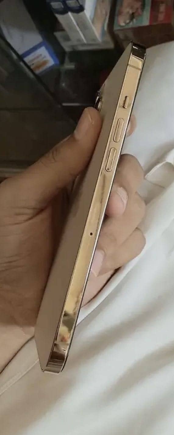 iPhone 12 pro max 2