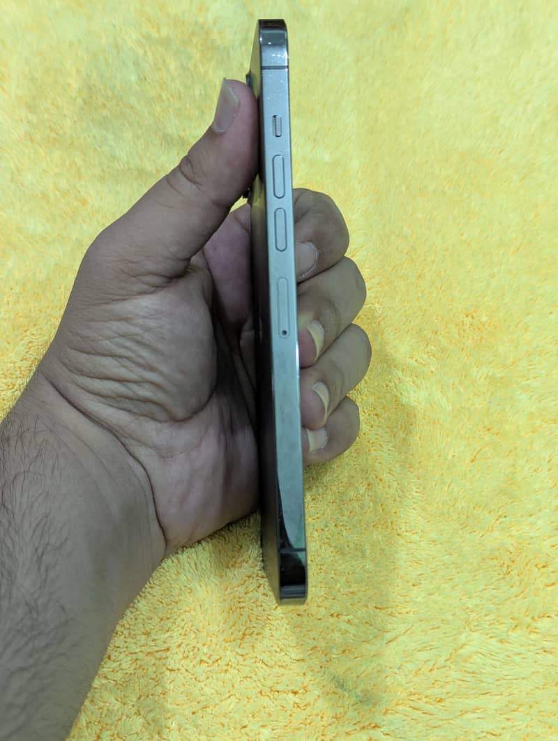 Apple iPhone 13 Pro Max 6