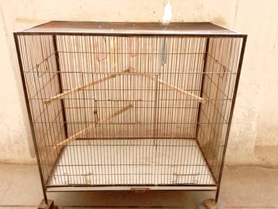 Cage for parrots.