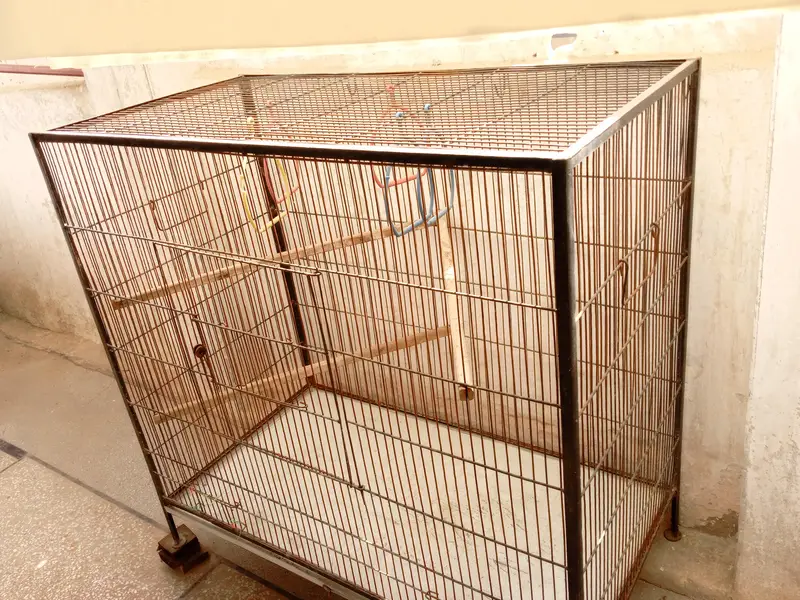 Cage for parrots. — photo 2