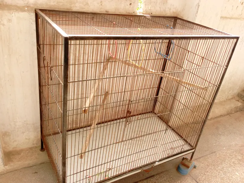 Cage for parrots. — photo 3