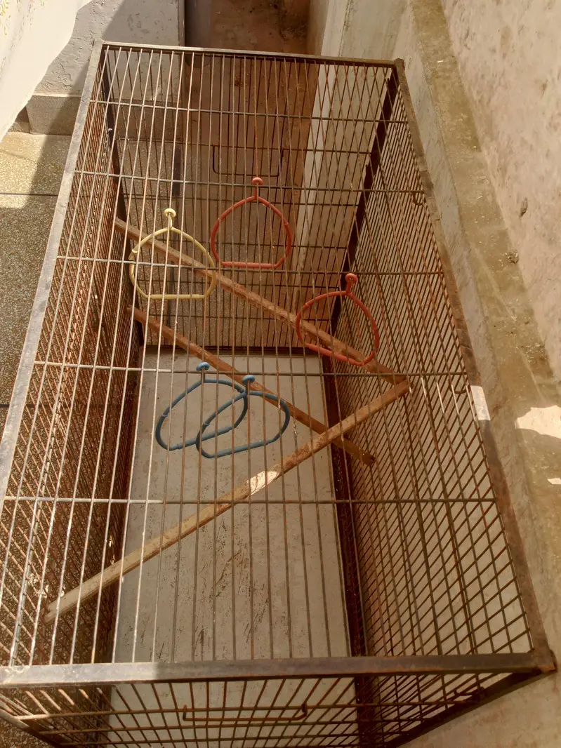 Cage for parrots. — photo 4