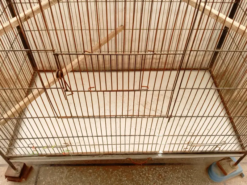 Cage for parrots. — photo 5