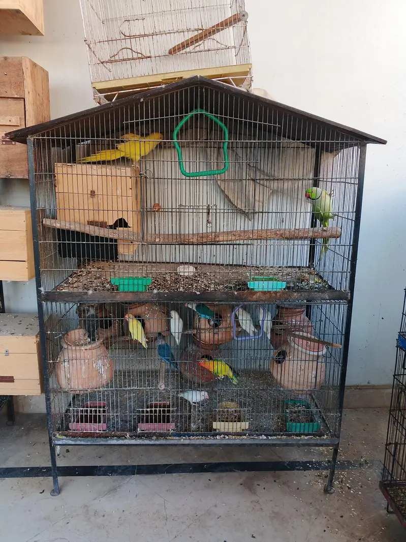 4 portion folding cage / 3 portion heavy wire cage — photo 2