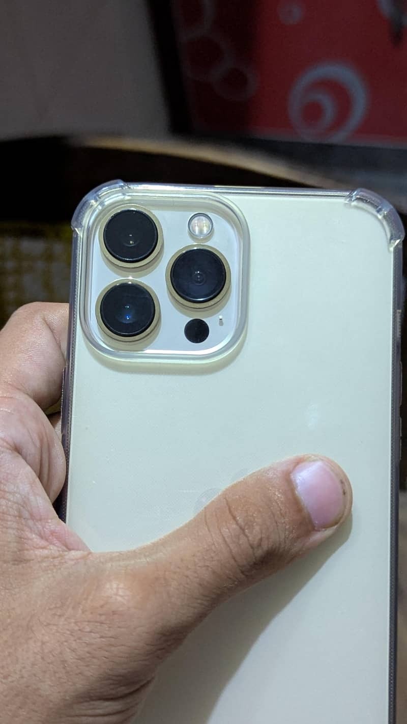 Apple iPhone 13 Pro Max 1