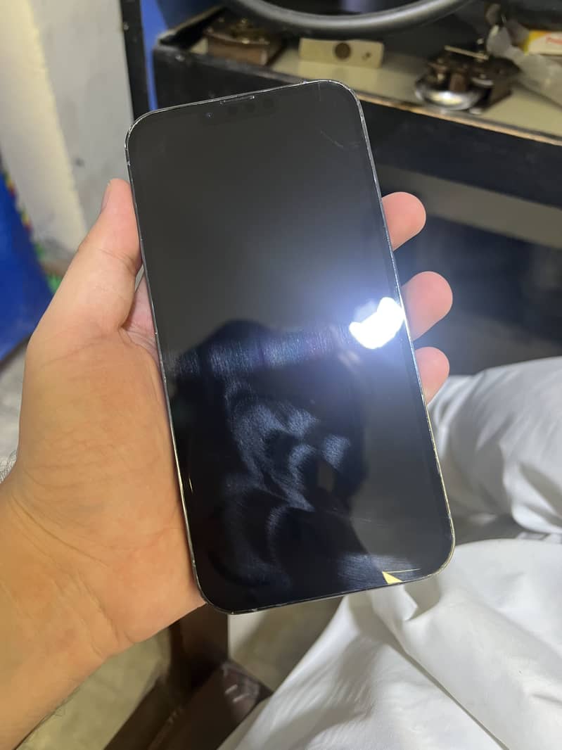Apple iPhone 13 Pro Max 1