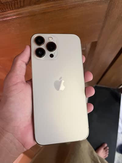 Apple iPhone 13 Pro Max
