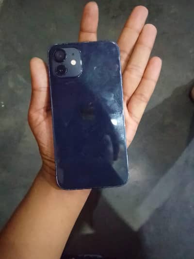 Apple iPhone 12