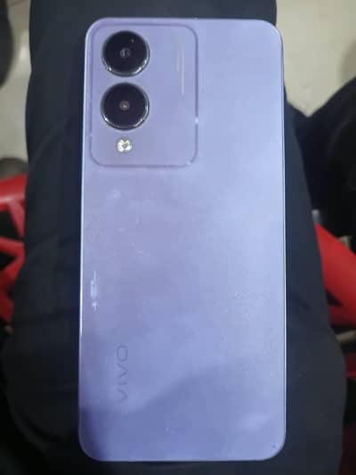 Vivo Y17