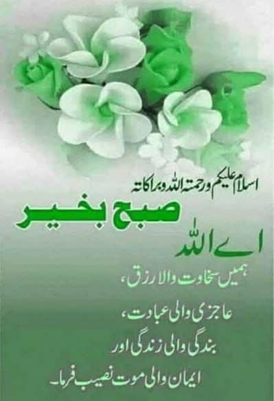 Gaban cow for sale 10 din Rhety delivery main lahore