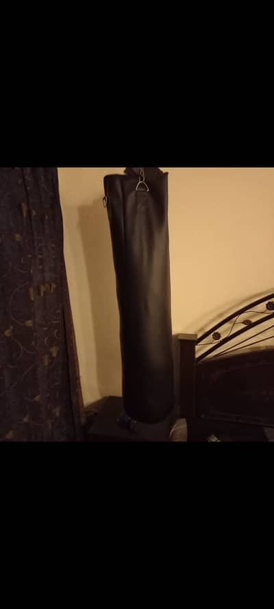 Everlast punching  bag with gloves