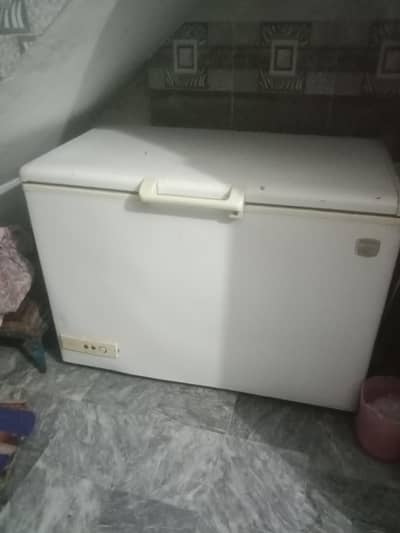 D freezer Company Gernal