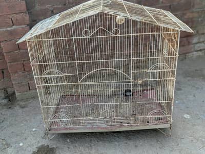 big cage