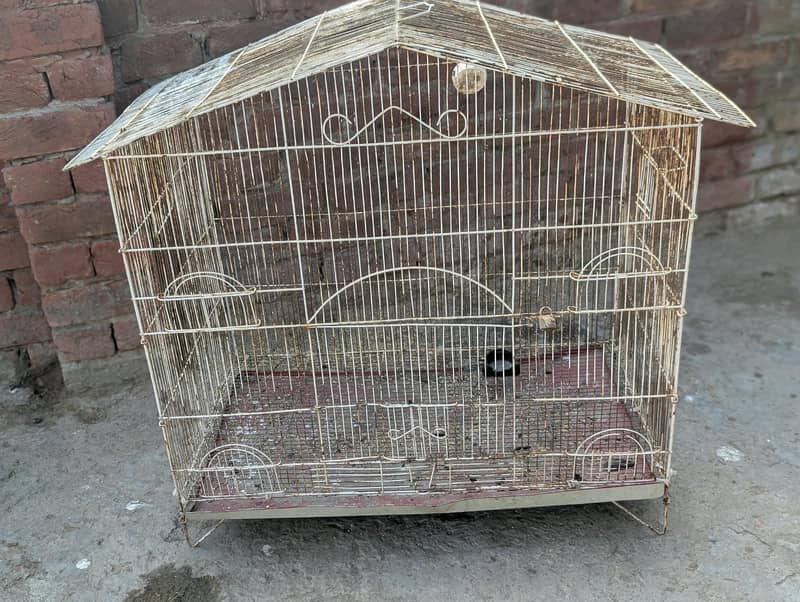 big cage 0