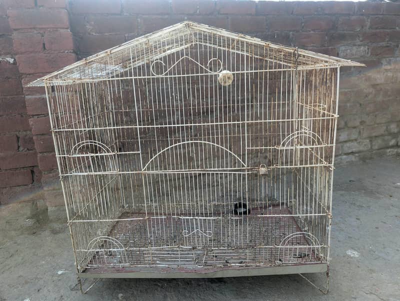 big cage 1