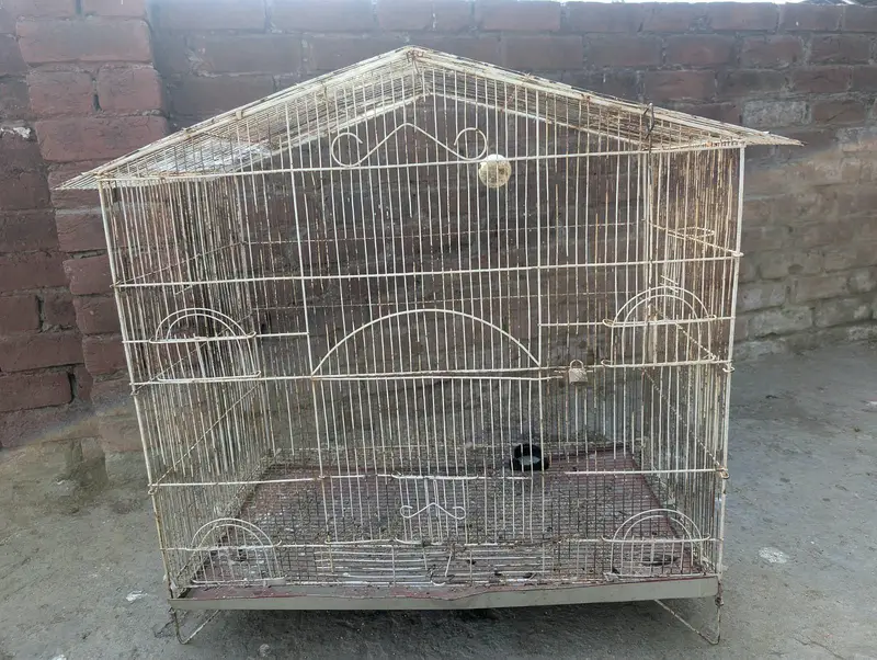 big cage — photo 2