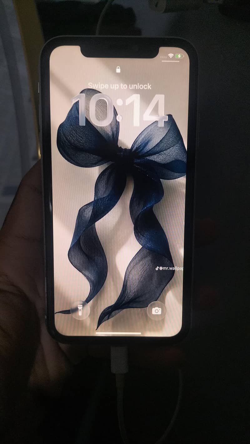 Apple iPhone 11 1