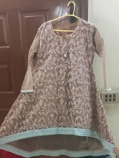 party wear Dress