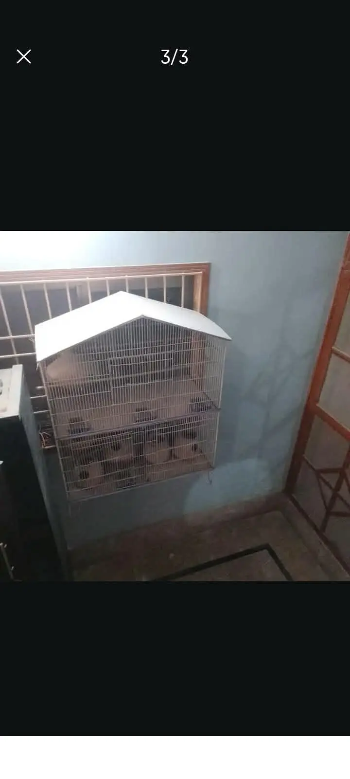 parrot cage pinjra